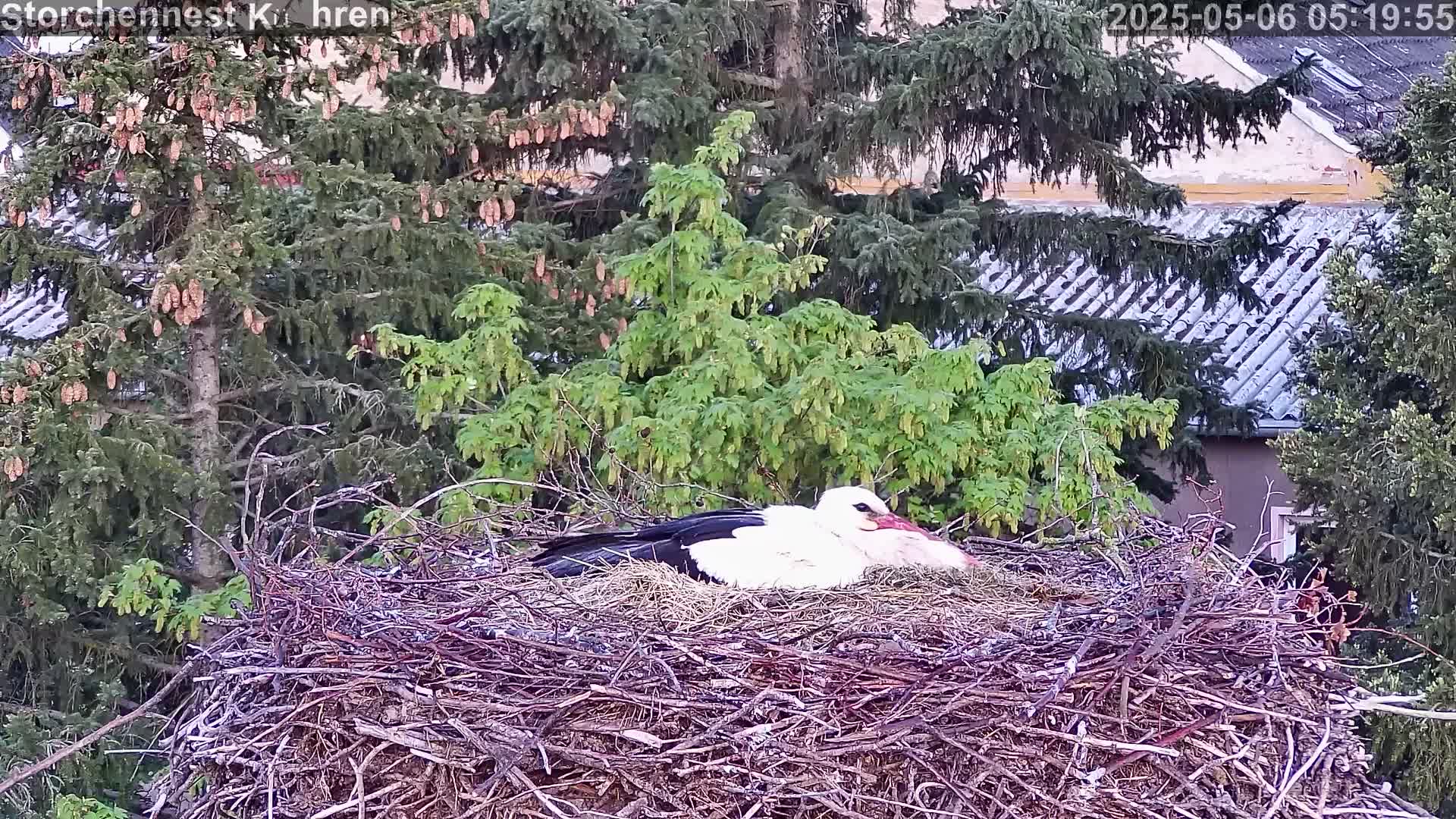 Now live: Storchennest Kühren