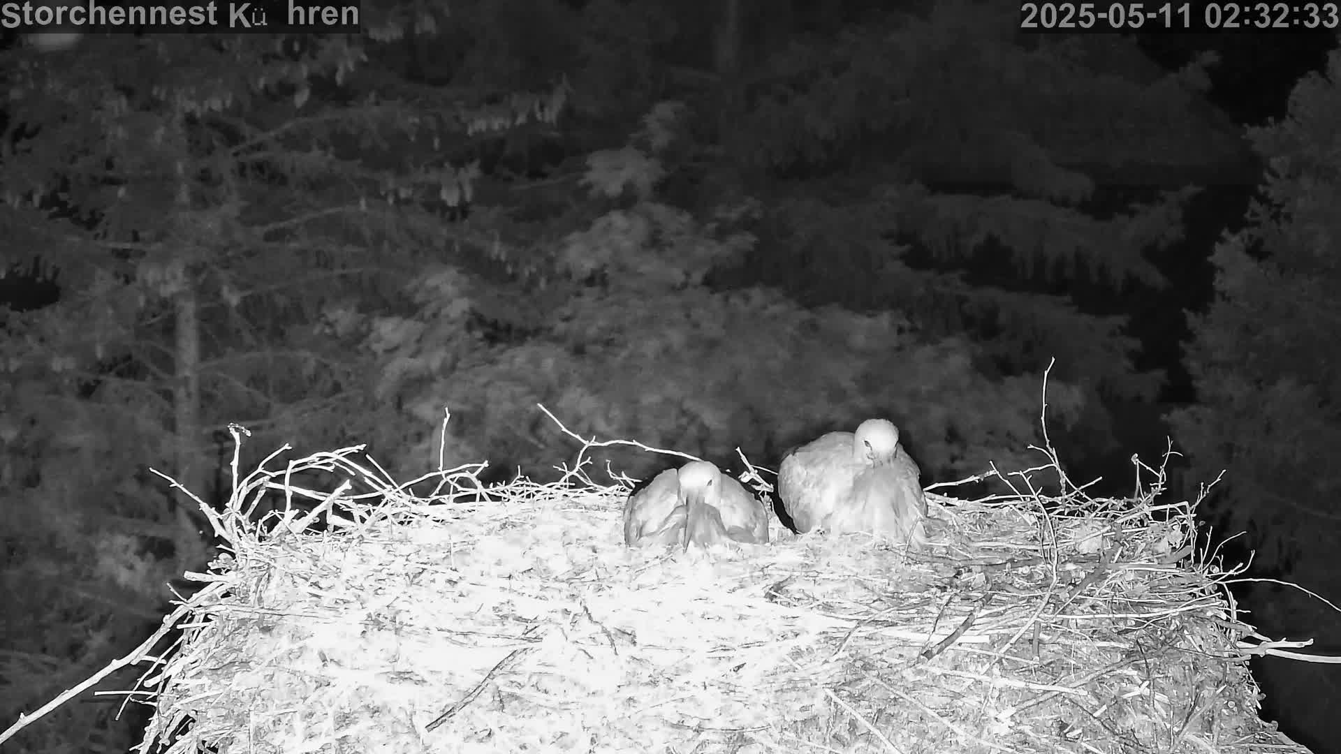 Now live: Storchennest Kühren