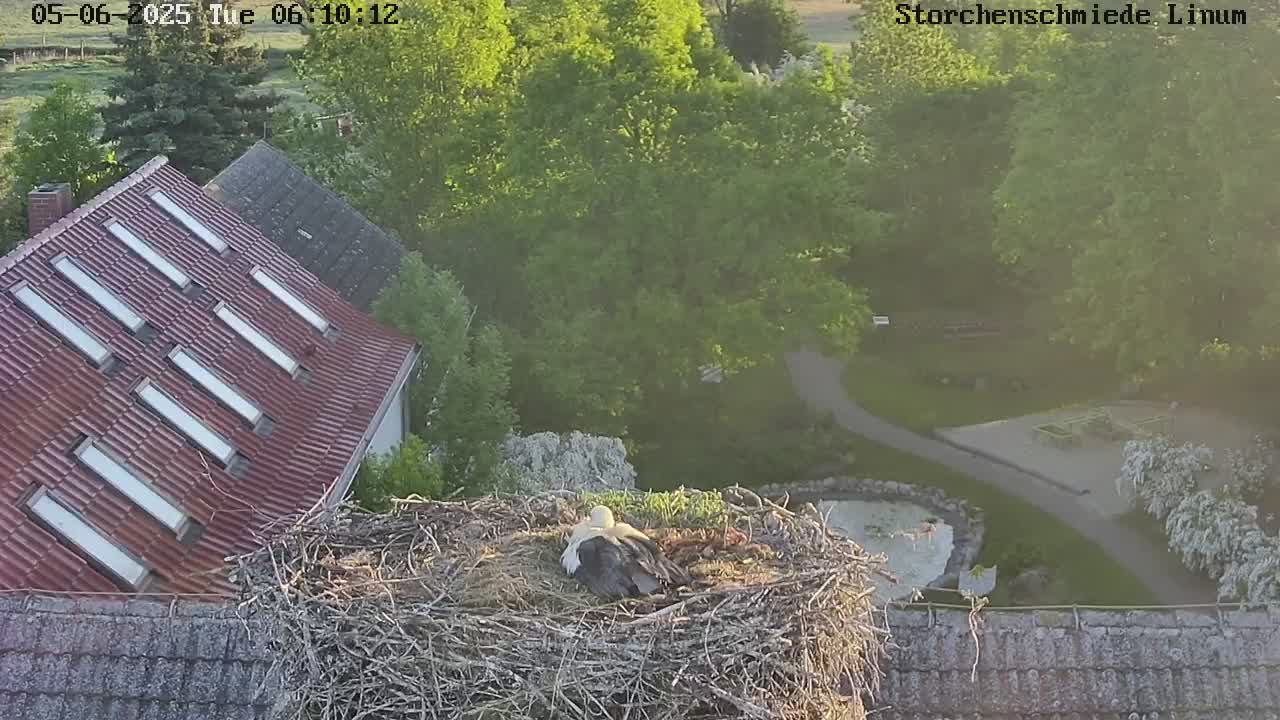 Now live: Storchenschmiede Linum