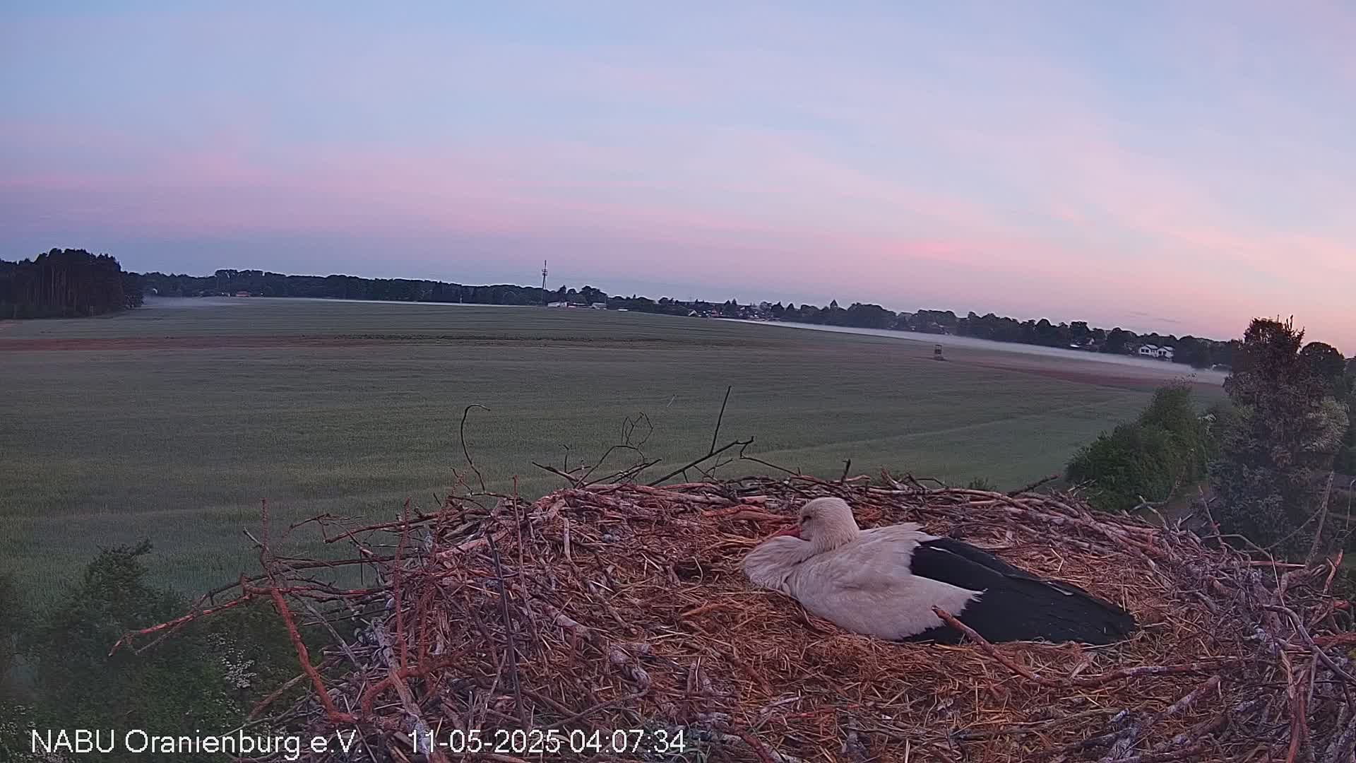Now live: Storchennest Wensickendorf
Storchennest Wensickendorf